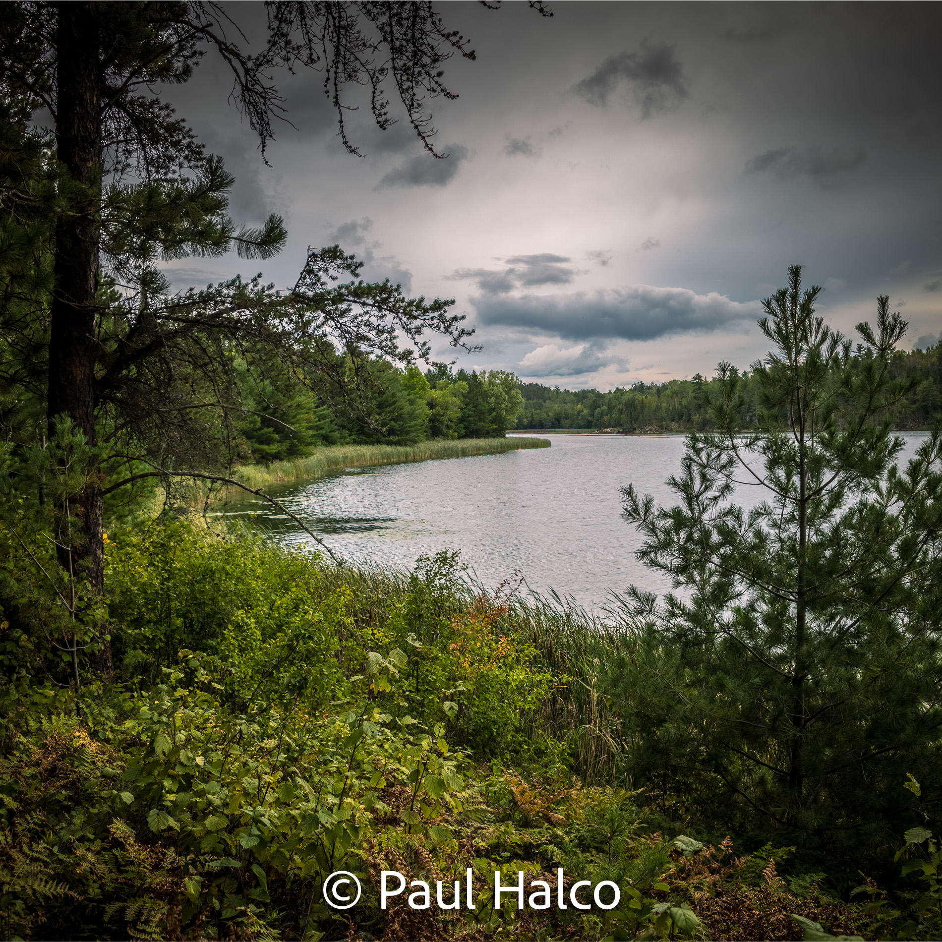 Paul Halco - Voyageurs NP-10